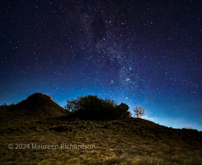 Shooting the Night Sky with Maureen Richardson