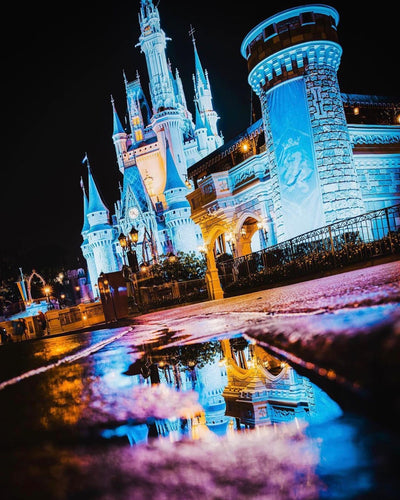 Capturing Disney Magic with Platypod