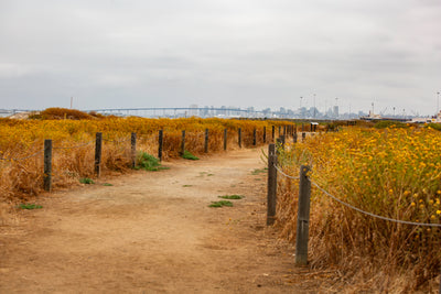 Coronado Bridge Trifocal captures with Riley Arthur