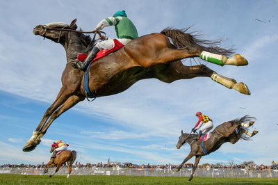 Jim Graham - Platypod in Steeplechase Horse Racing