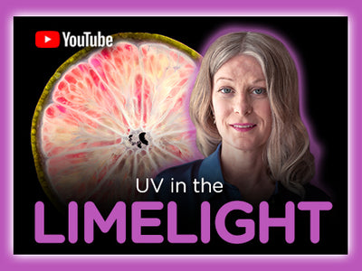 UV in the Limelight with Rain Hayes